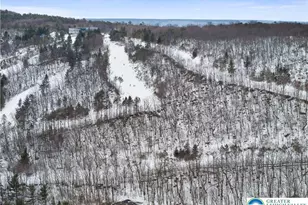 262 Overlook Way, Tannersville, PA 18372 - Photo 49