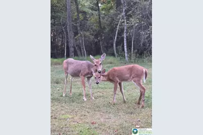 177 Elmwood Drive, Tunkhannock Twp, PA 18210 - Photo 41