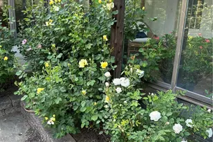 2840 Chew St, Allentown City, PA 18104 - Photo 49