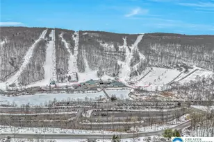 312 Hollow Rd, East Stroudsburg, PA 18302 - Photo 33