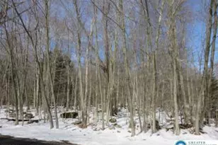 33 Cheyenne Trail, Lehigh Twp, PA 18424 - Photo 15