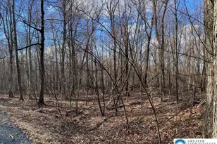 33 Cheyenne Trail, Lehigh Twp, PA 18424 - Photo 17