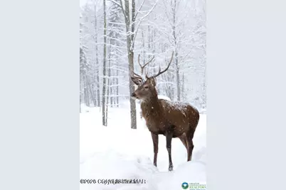 33 Cheyenne Trail, Lehigh Twp, PA 18424 - Photo 3