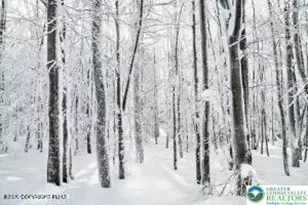 33 Cheyenne Trail, Lehigh Twp, PA 18424 - Photo 5