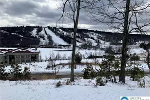 143 Moseywood Rd, Kidder Twp, PA 18624 - Photo 43