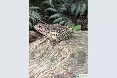 253 E Church Street, Bethlehem, PA 18018 - Photo 49