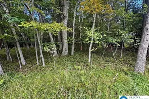 Lot 14 Ht Bear Ln, Penn Forrest, PA 18229 - Photo 3