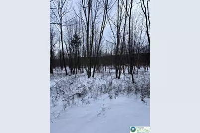 230 Elderberry Lane, Hazle Township, PA 18202 - Photo 1