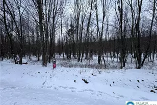 230 Elderberry Ln, Hazle Township, PA 18202 - Photo 3