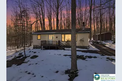 173 Bushkill Drive, Pocono Lake, PA 18347 - Photo 1