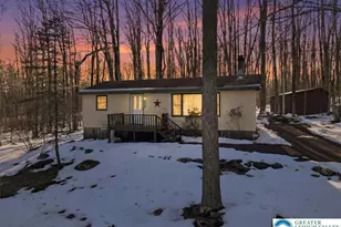 173 Bushkill Dr, Pocono Lake, PA 18347 - Photo 1