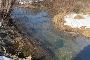 857 Penn Dr, West Penn Twp, PA 18252 - Photo 15