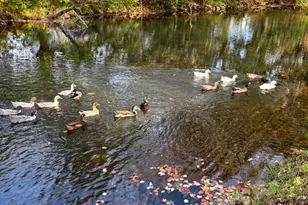 117 S Canal St, Walnutport Boro, PA 18088 - Photo 39