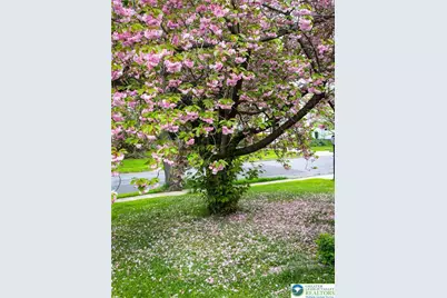 827 College Lane, Allentown City, PA 18103 - Photo 43