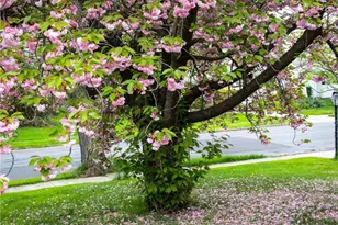 827 College Ln, Allentown City, PA 18103 - Photo 43