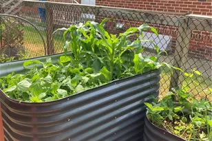 822 N Leh St, Allentown City, PA 18104 - Photo 7