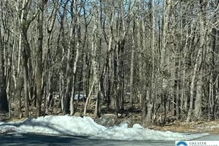 Jeffers Way & Lang Way, Penn Forrest, PA 18210 - Photo 1