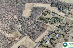 Back Rd, Ryan Twp, PA 18214 - Photo 9