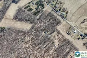 Back Rd, Ryan Twp, PA 18214 - Photo 7