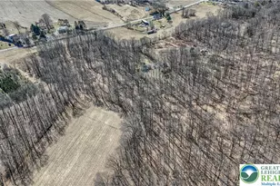 Back Rd, Ryan Twp, PA 18214 - Photo 19