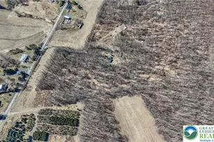 Back Rd, Ryan Twp, PA 18214 - Photo 3