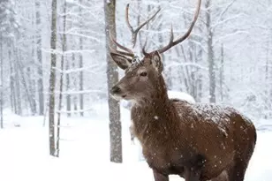 0 Mallard Ln, Pike, PA 18324 - Photo 9