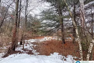 Tirol Circle, Franklin Twp, PA 18235 - Photo 3