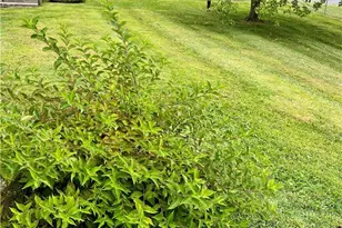 2881 Tycolia, Lowhill Township, PA 18069 - Photo 9