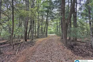 Millheim Rd, Moore Township, PA 18014 - Photo 9