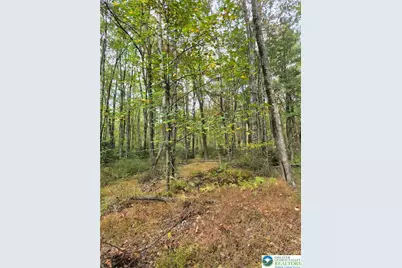 Millheim Road, Moore Township, PA 18014 - Photo 7