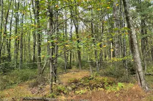 Millheim Rd, Moore Township, PA 18014 - Photo 7