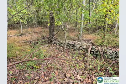 Millheim Road, Moore Township, PA 18014 - Photo 3