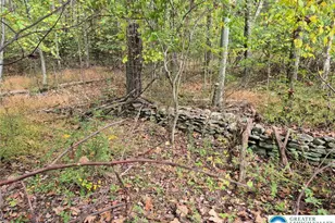 Millheim Rd, Moore Township, PA 18014 - Photo 3