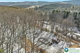 4 Codorus, Ryan Twp, PA 18214 - Photo 3