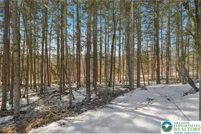 4 Codorus, Barnesville, PA 18214 - Photo 41