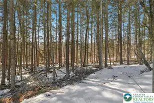 4 Codorus, Ryan Twp, PA 18214 - Photo 41