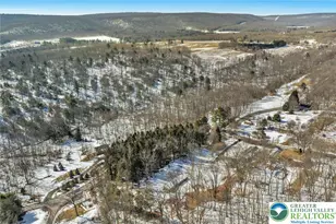 4 Codorus, Ryan Twp, PA 18214 - Photo 9