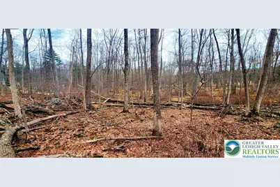 Lace Drive, East Stroudsburg, PA 18302 - Photo 5