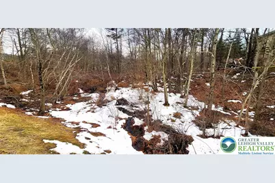 Clover Road, Tunkhannock Twp, PA 18334 - Photo 3