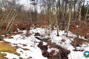 Clover Rd, Tunkhannock Twp, PA 18334 - Photo 3