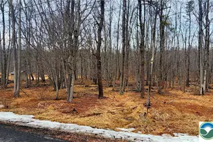 Brook Run Ln, Tunkhannock Twp, PA 18210 - Photo 3