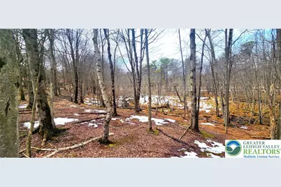 Brook Run Lane #124, Tunkhannock Twp, PA 18210 - Photo 3