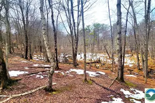 124 Brook Run Ln, Tunkhannock Twp, PA 18210 - Photo 3