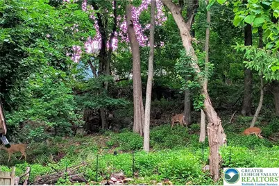 1291 Seidersville Road, Lower Saucon Township, PA 18015 - Photo 55