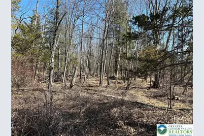 0 Richlandtown Pike, Richlandtown, PA 18951 - Photo 3