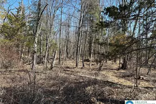 0 Richlandtown Pike, Richlandtown, PA 18951 - Photo 3