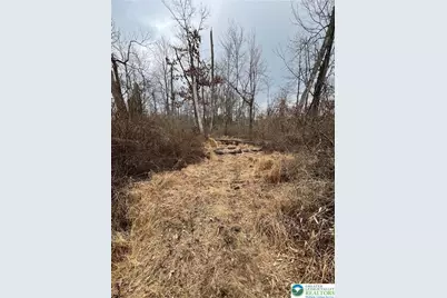 1598 Hafler Road, Bethlehem City, PA 18015 - Photo 9