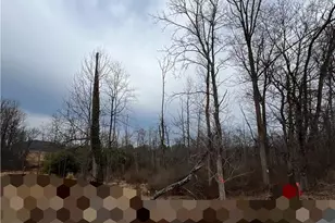 1598 Hafler Rd, Bethlehem City, PA 18015 - Photo 5