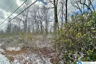 Forest Lake Dr, Penn Forrest, PA 18229 - Photo 5