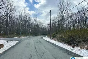 Forest Lake Dr, Penn Forrest, PA 18229 - Photo 3